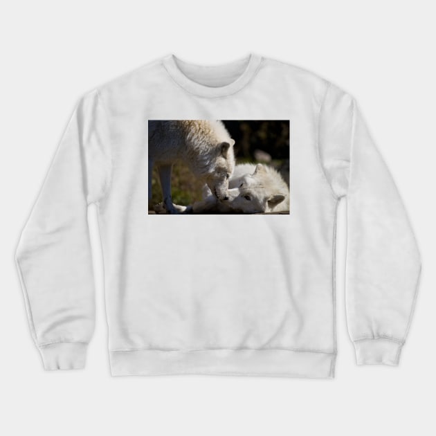 Arctic Wolves Crewneck Sweatshirt by jaydee1400